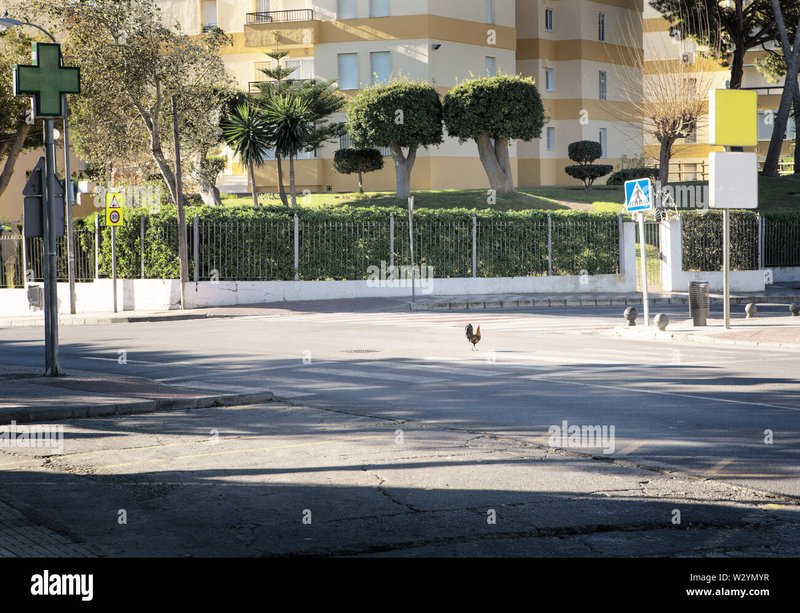 Introduction to juego chicken road Introduction to juego chicken road